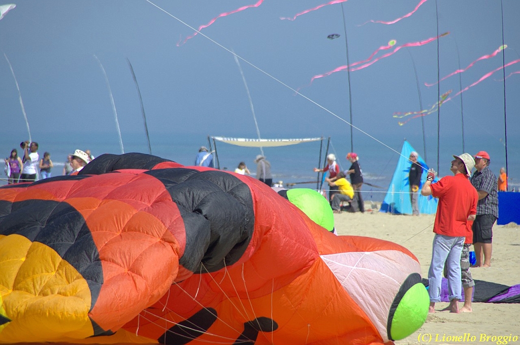 32 FESTIVAL CERVIA 2012 - 006.jpg